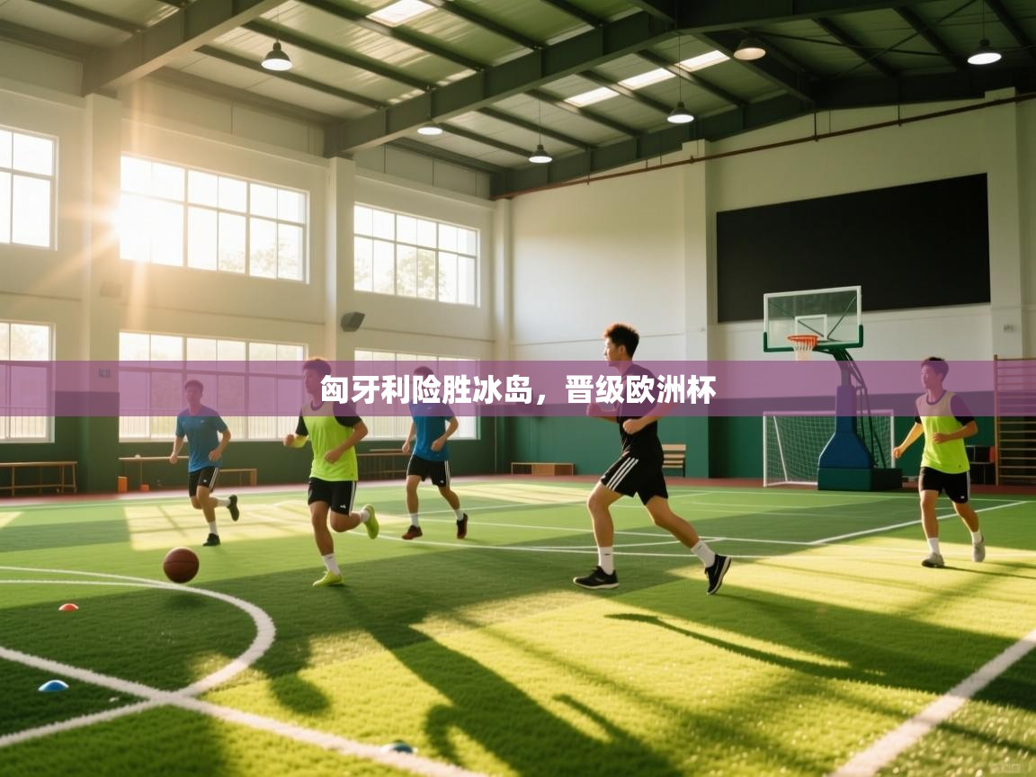 匈牙利险胜冰岛，晋级欧洲杯  第1张