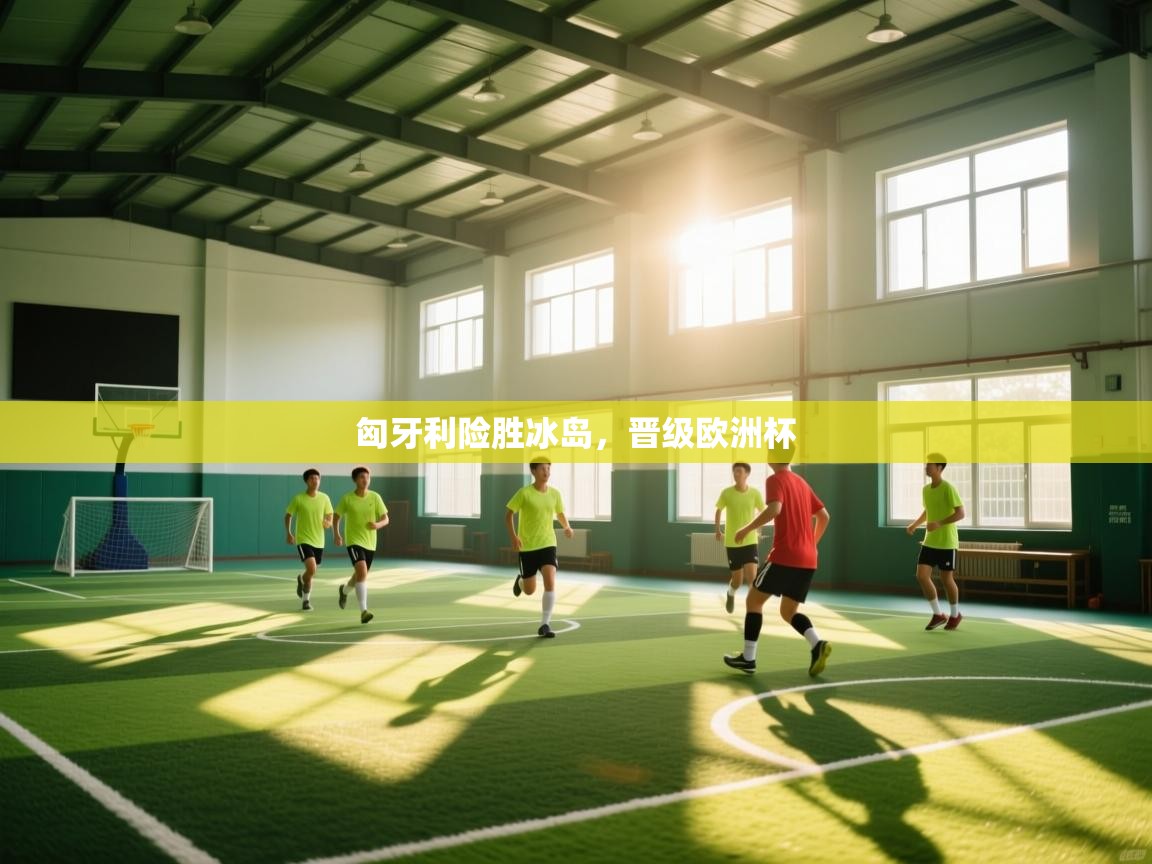 匈牙利险胜冰岛，晋级欧洲杯  第2张