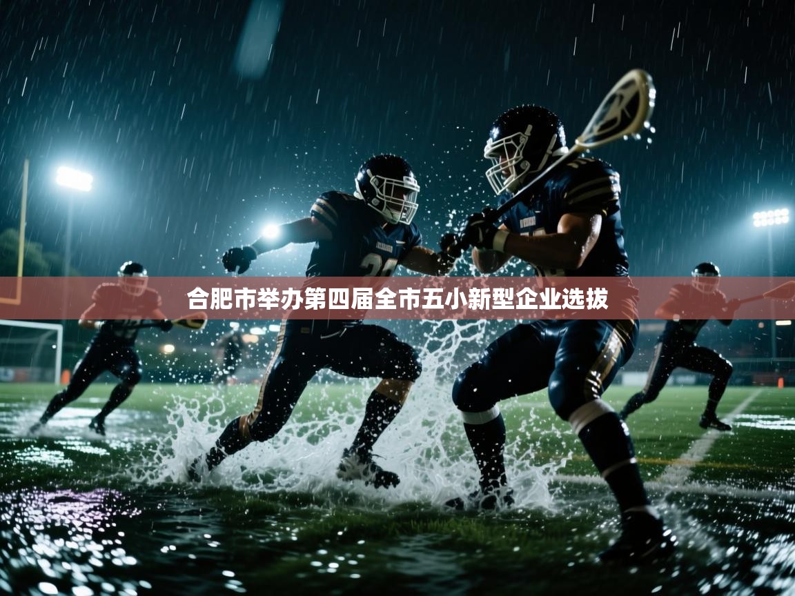 合肥市举办第四届全市五小新型企业选拔 第1张