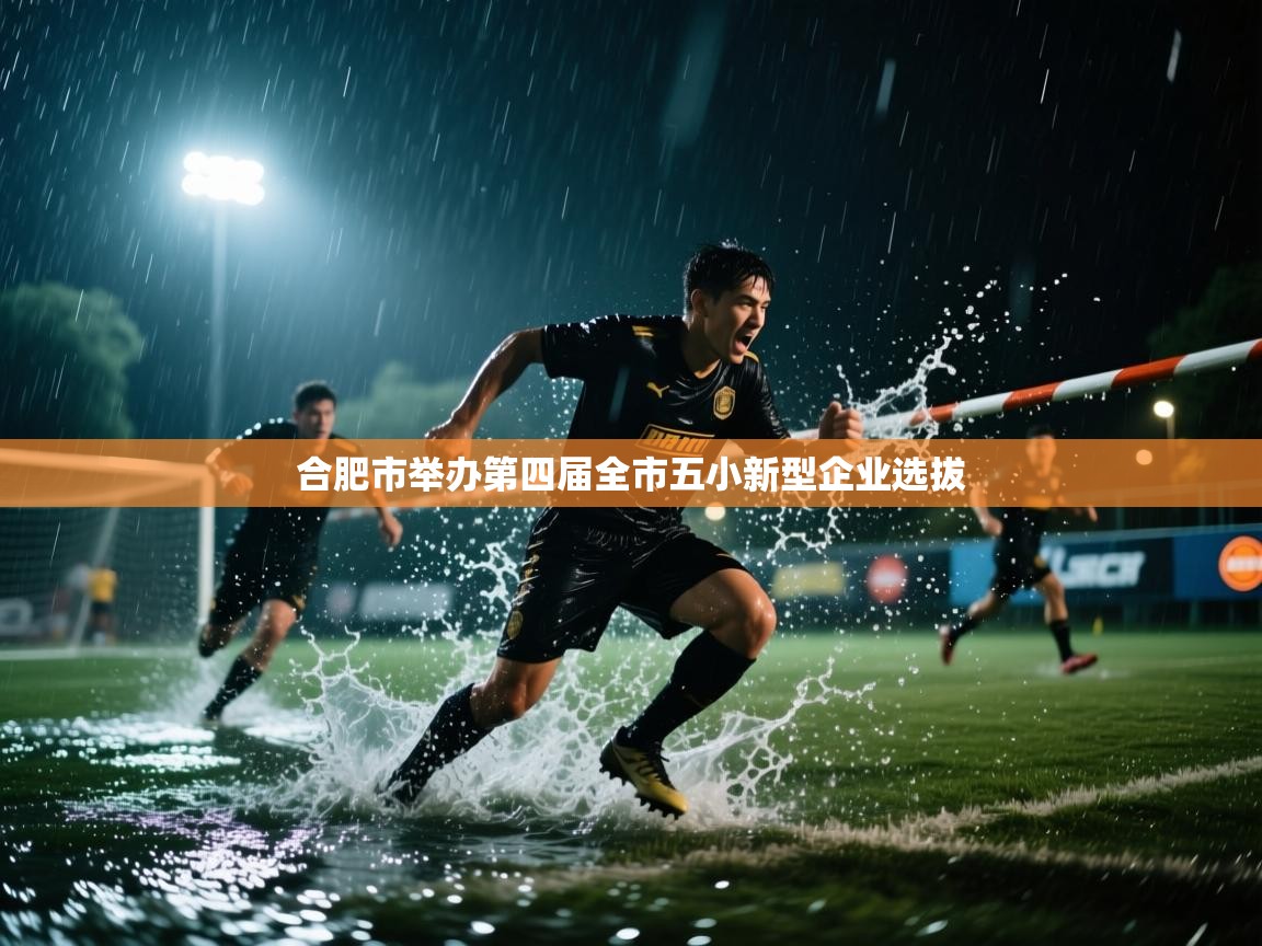 合肥市举办第四届全市五小新型企业选拔 第2张