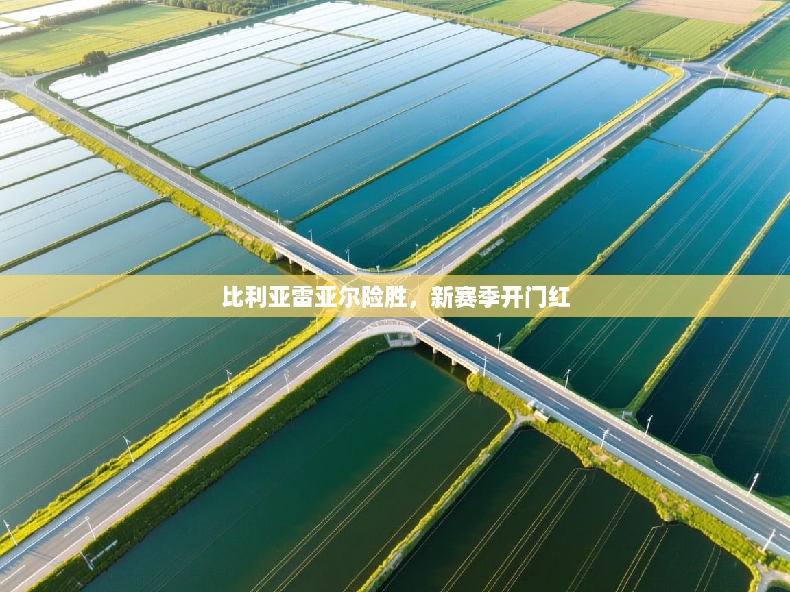 比利亚雷亚尔险胜,新赛季开门红 第1张