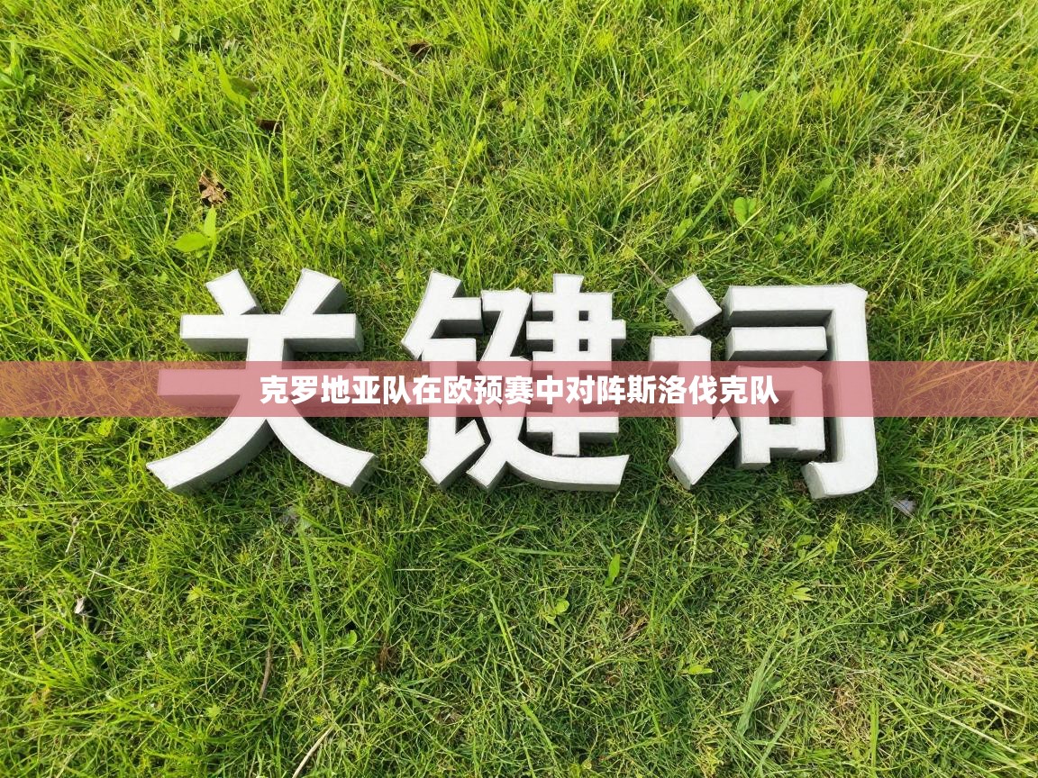 克罗地亚队在欧预赛中对阵斯洛伐克队  第2张