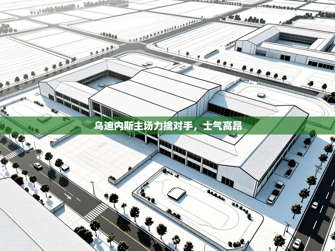 乌迪内斯主场力擒对手，士气高昂  第1张