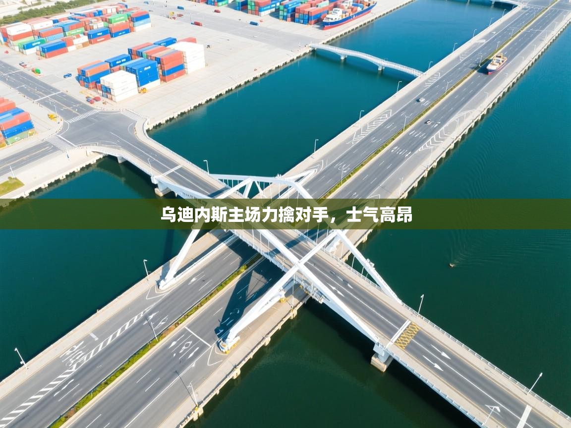 乌迪内斯主场力擒对手，士气高昂  第2张