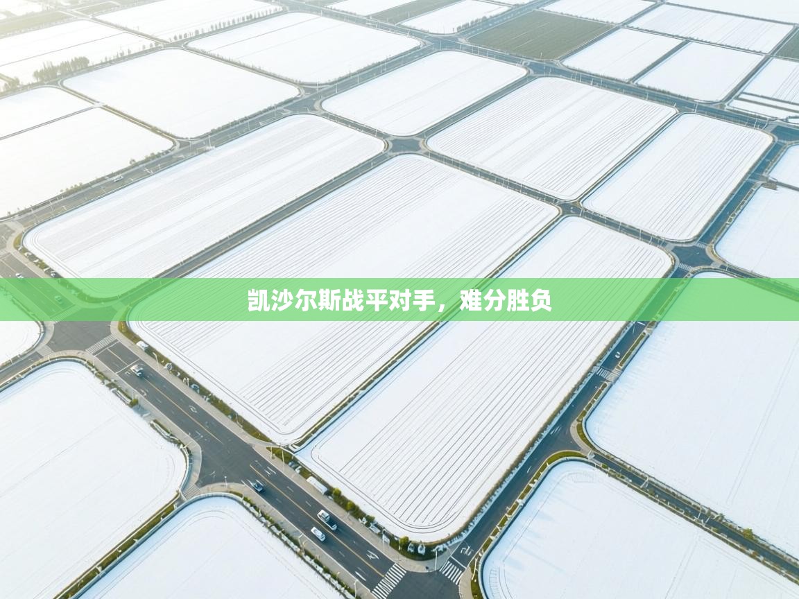 凯沙尔斯战平对手,难分胜负 第1张