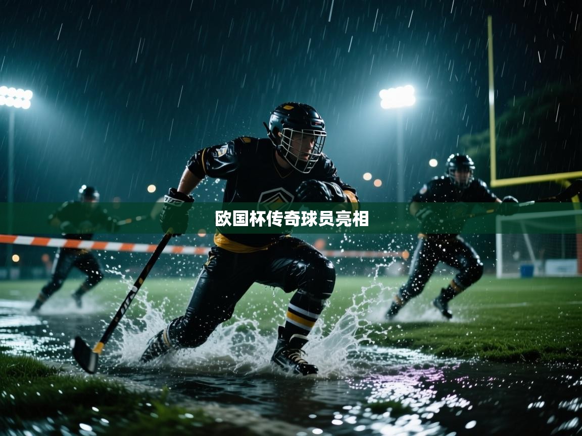 欧国杯传奇球员亮相  第1张