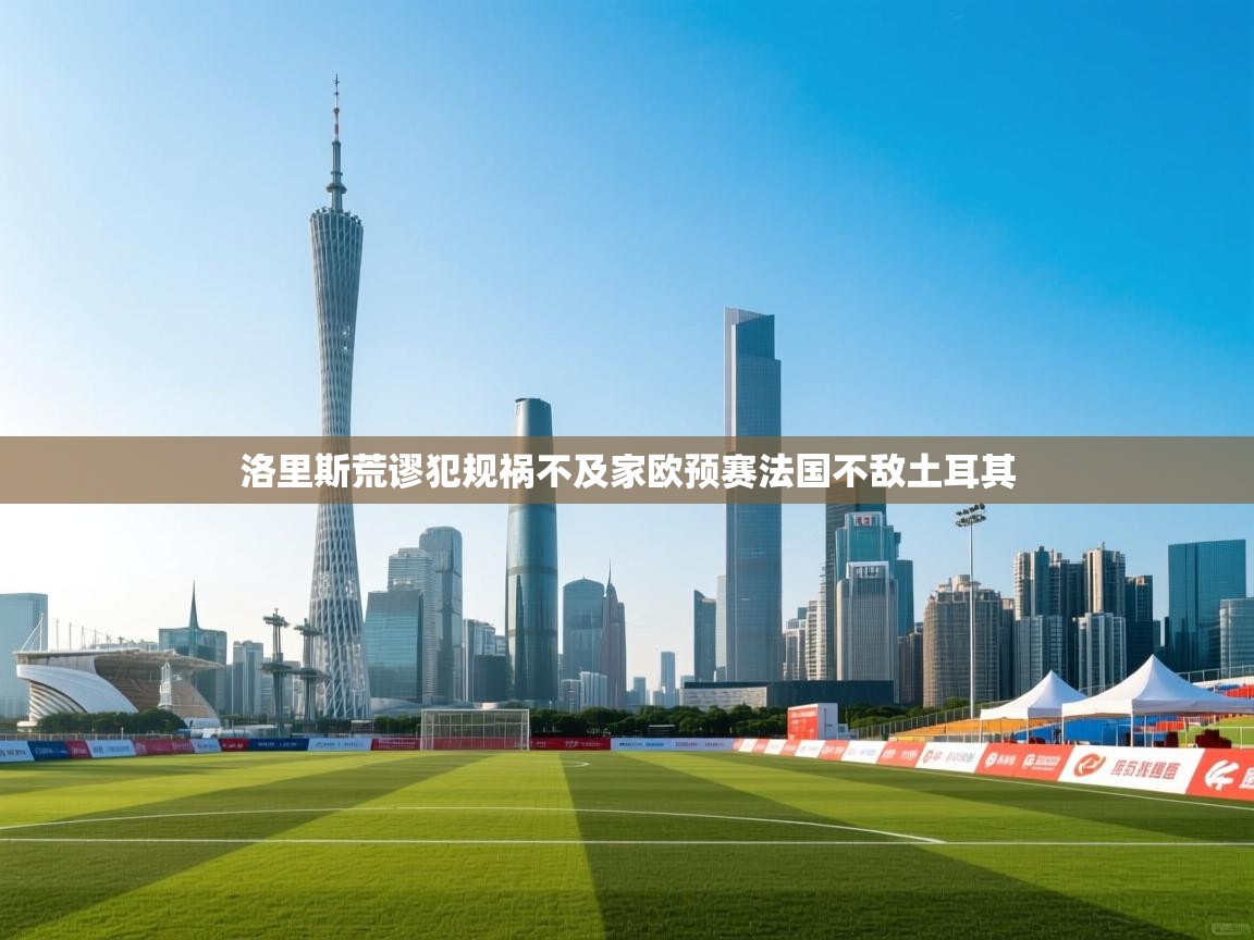 洛里斯荒谬犯规祸不及家欧预赛法国不敌土耳其  第2张