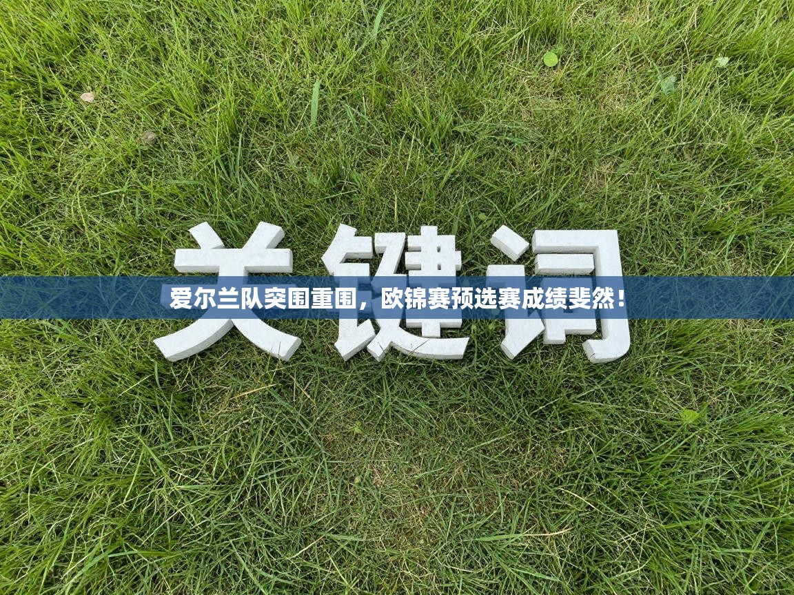 爱尔兰队突围重围，欧锦赛预选赛成绩斐然！  第2张