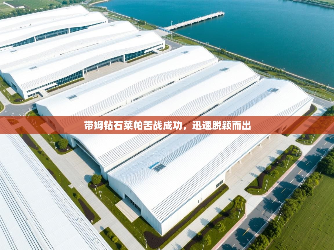 带姆钻石莱帕苦战成功，迅速脱颖而出  第1张