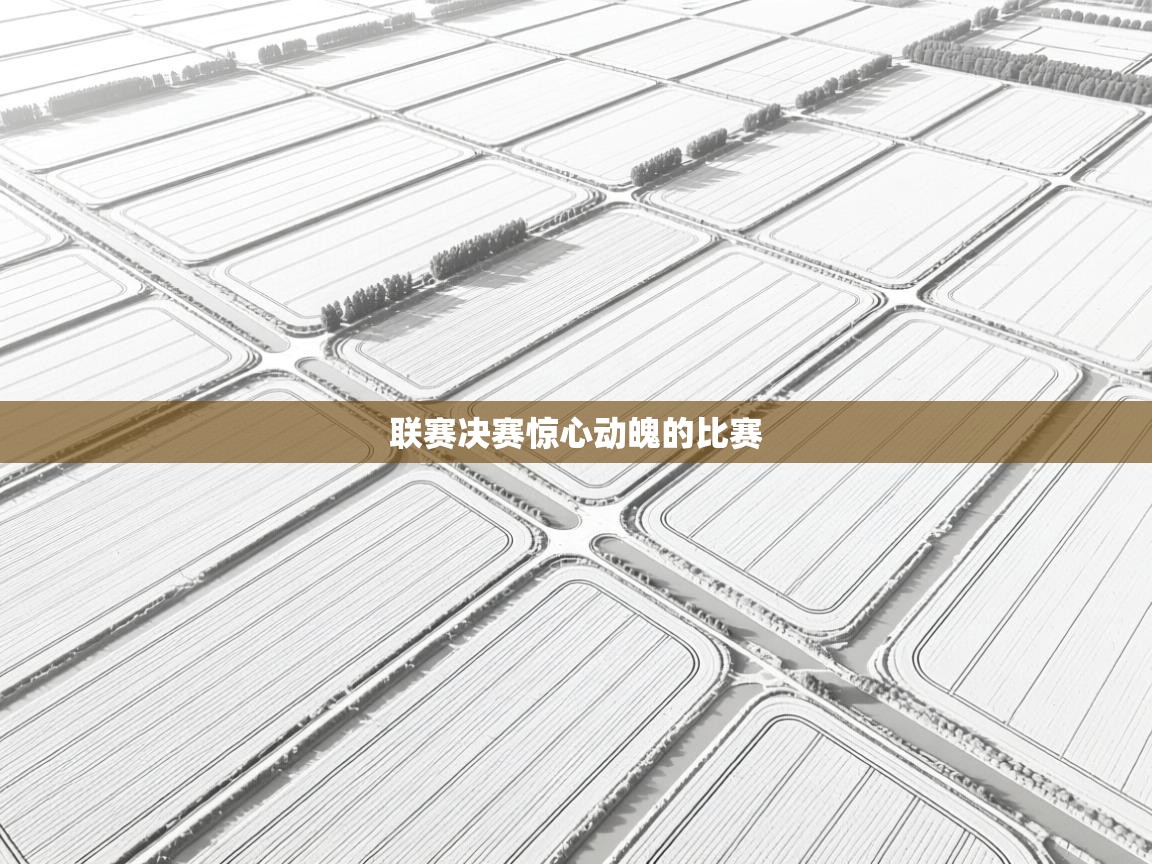 联赛决赛惊心动魄的比赛 第2张