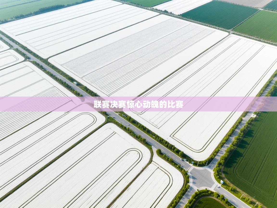 联赛决赛惊心动魄的比赛 第1张